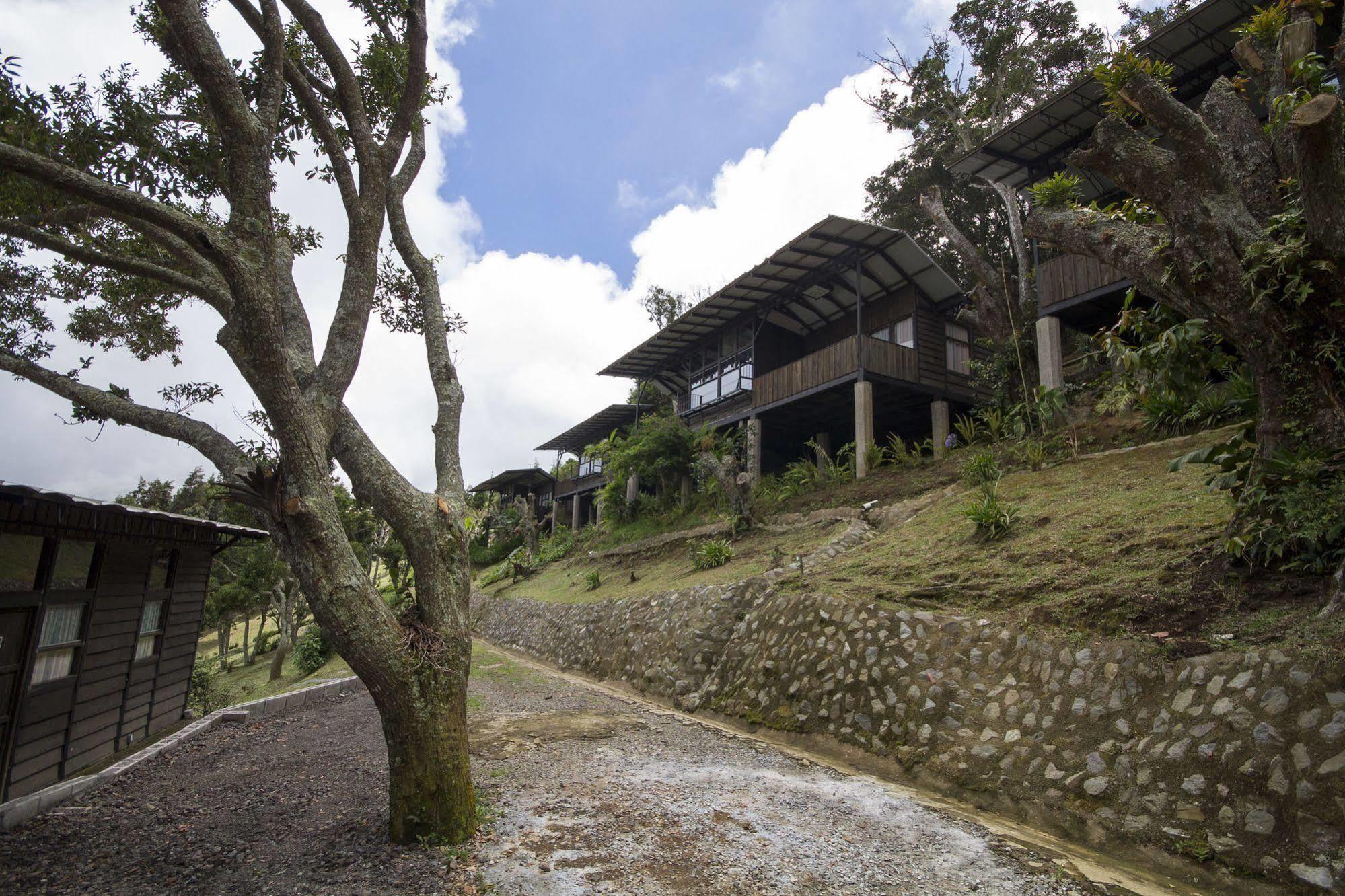 Hotel Alto Palomo Bajos del Toro エクステリア 写真